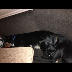 Meet your Posher, Brianna